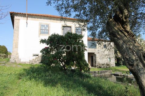 Identificação do imóvel: ZMPT565386 Excellent farm with semi-renovated stone house, shops, threshing floor, granary, 2 stone houses with 2 floors each, all in stone to be rebuilt. Farm with mine, water well, stone tank. Granite guttering for distribu...