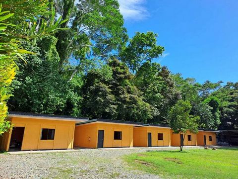 Gelegen in een bevoorrechte omgeving, op een paar minuten van Puerto Vargas en Cahuita National Park, biedt dit verhuurbedrijf een unieke kans voor investeerders of ondernemers die geïnteresseerd zijn in lokaal toerisme. Hoofdlijnen: 5 onafhankelijke...