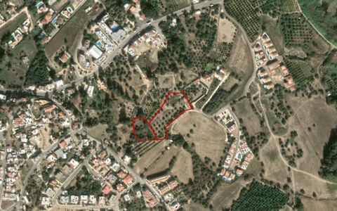 Two plot is totaled 7,024sqm 2,007sqm and 5,017sqm with a relatively flat surface and is considered landlocked, c. 60m from a public registered road network. The immediate area comprises of mid to high specs residential and holiday house developments...