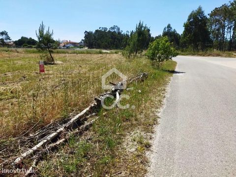 Land with an area of 1040 m2, located in the Vieira de Leiria area; consult us. Being an integral part of the municipality of Marinha Grande, the village of Vieira de Leiria is located 14 kilometers from the county seat and 24 kilometers from the cit...
