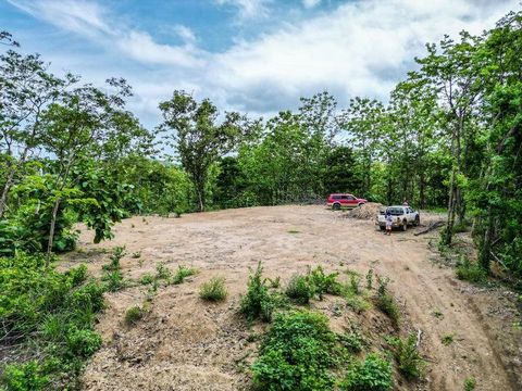 Discover Lot 1 Selva Buena Vista! Located just 7 minutes from Samara, the beach, services, shops, and schools, this 6,264m² plot is an exceptional opportunity for your future real estate projects in Costa Rica. With easy access via a private, well-ma...