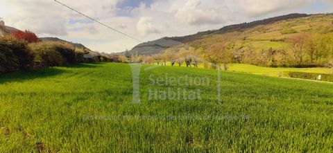 Valady  Baugrundstück von 5.658 m² im Herzen von Vallon. Das Land ist nach Süden ausgerichtet. Das Land profitiert von einer klaren Sicht. Wasser, Strom und öffentliche Abwasserentsorgung befinden sich am Rande des Landes. Es besteht die Möglichkeit...