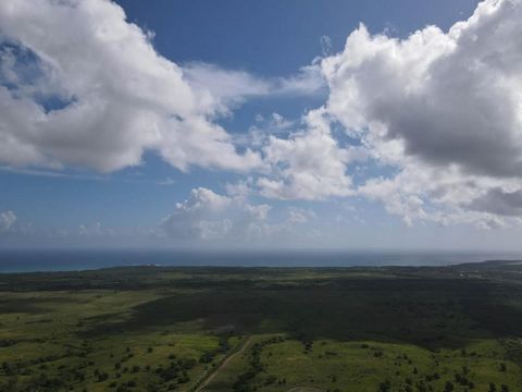 Una bella comunità residenziale situata in posizione strategica alla periferia di Puerto Plata con vista panoramica sull'Oceano Atlantico e sulla collina di Isabel de Torres. A dieci minuti dal centro della città e a quindici minuti dall'aeroporto in...