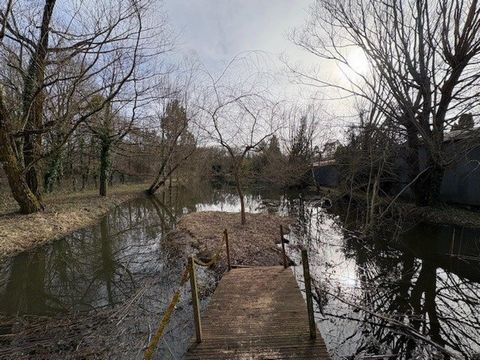 photo no. 4