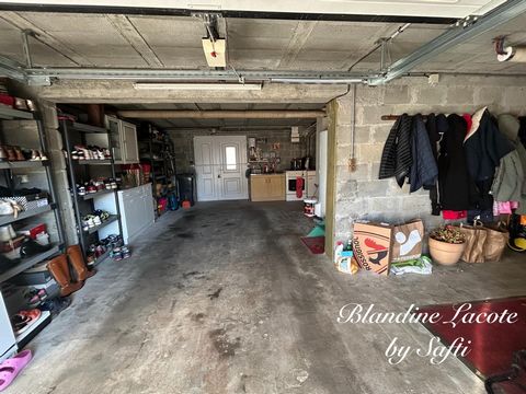 photo no. 11