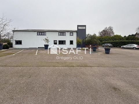 photo no. 11