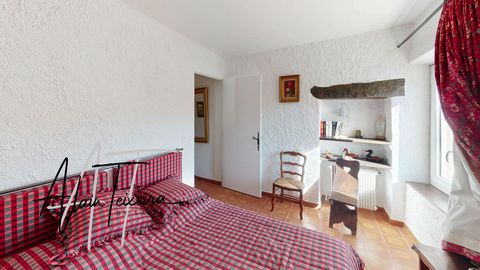 photo no. 11