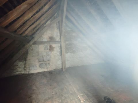 photo no. 10