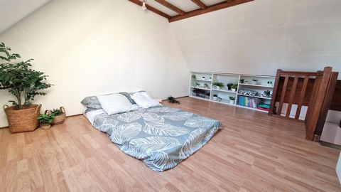 photo no. 13