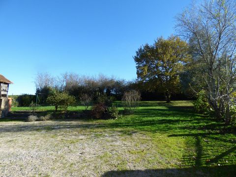 photo no. 12