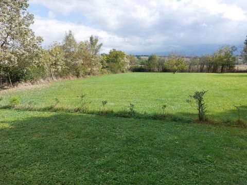 photo no. 11