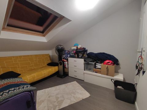 photo no. 11