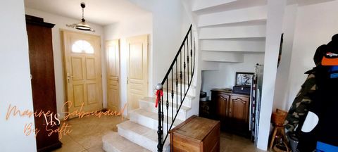 photo no. 11