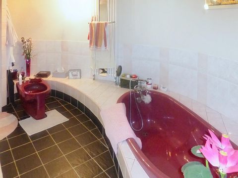 photo no. 8