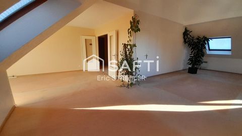 SPACIEUX DUPLEX T5 AUX PORTES DE STRASBOURG