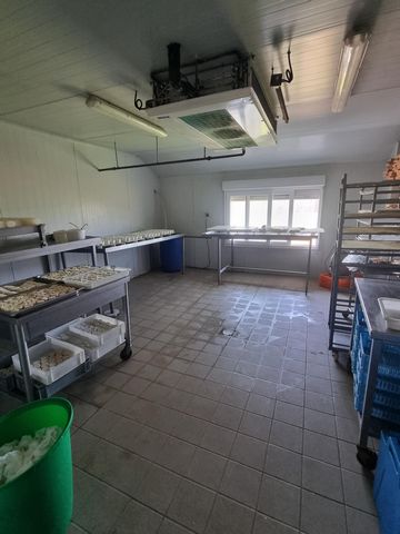 photo no. 19
