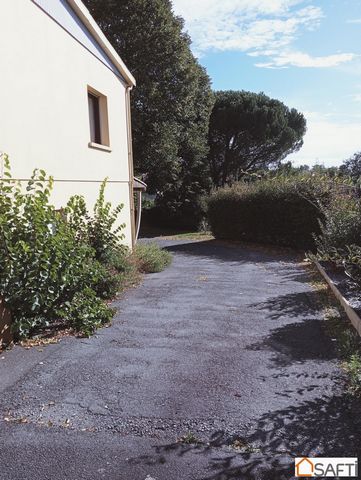photo no. 7
