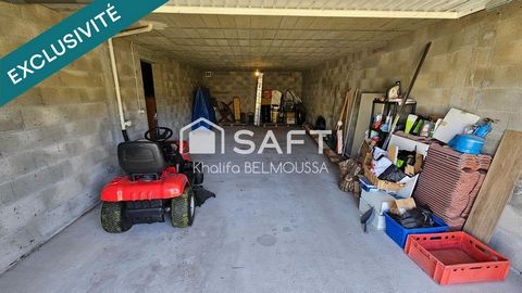 photo no. 12