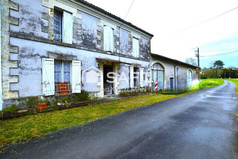 photo no. 9