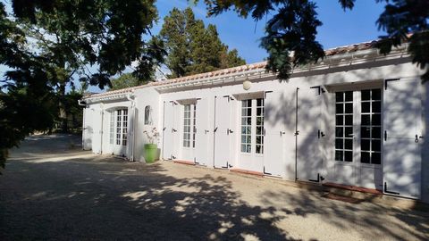 photo no. 3