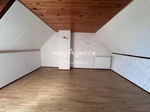 photo no. 11