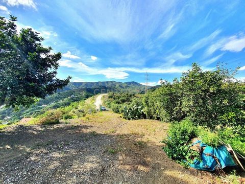 Descubre esta maravillosa casa de campo en Andalucía, Málaga, por solo 185.000. Finca de casi 9.000 m2, extrena casa nueva de 80m² de esta propiedad, ofrece un estilo de vida tranquilo rodeado de naturaleza y vistas impresionantes a las montañas y el...
