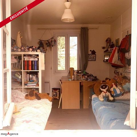 photo no. 8
