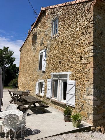 photo no. 3