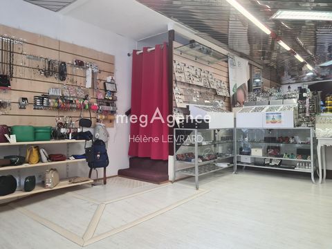 photo no. 4