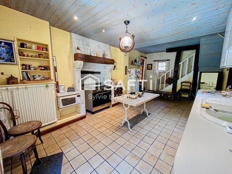 photo no. 12