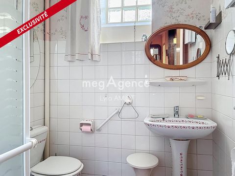 photo no. 8