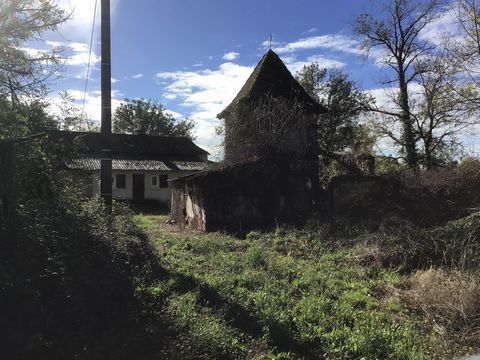 photo no. 14