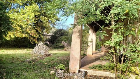 photo no. 13