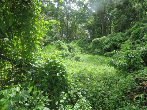 photo no. 2