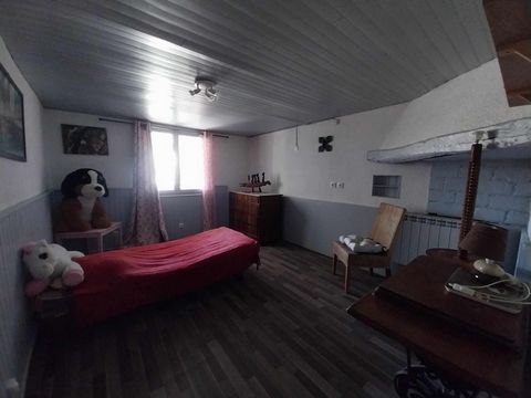 photo no. 8