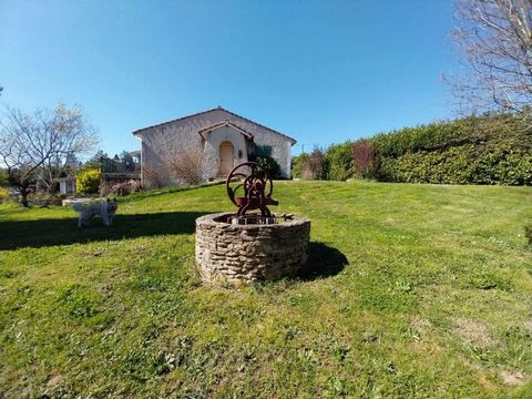 photo no. 14