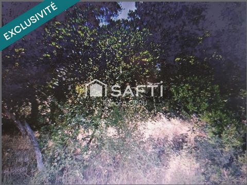 Maison type 4 avec 600m2 de terrain