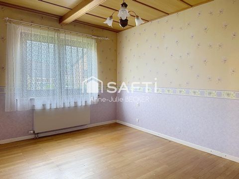 photo no. 5