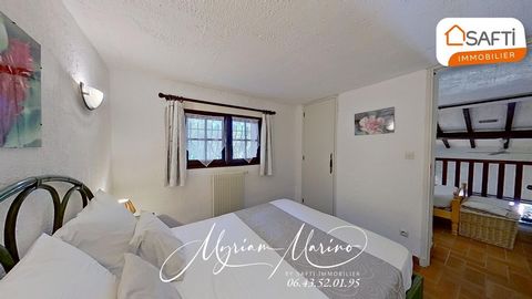 photo no. 11