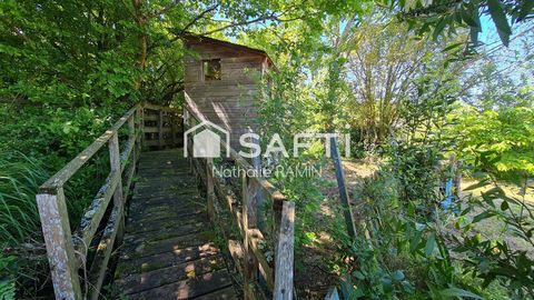 photo no. 12