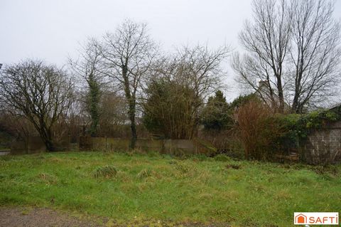 photo no. 19