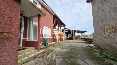photo no. 1