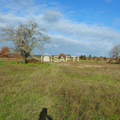 photo no. 2