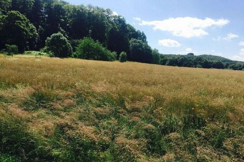 Dit vrijstaande vakantiehuis ligt net buiten Eichenborn, een klein dorpje vlakbij Bad Pyrmont. Het huis ligt direct aan de rand van het natuurgebied Weserbergland. Het beschikt over een grote schuifpui en is licht en comfortabel ingericht. Het huis b...