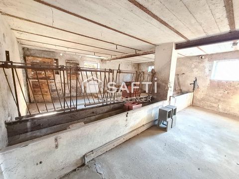 photo no. 13