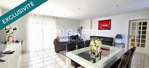 photo no. 12