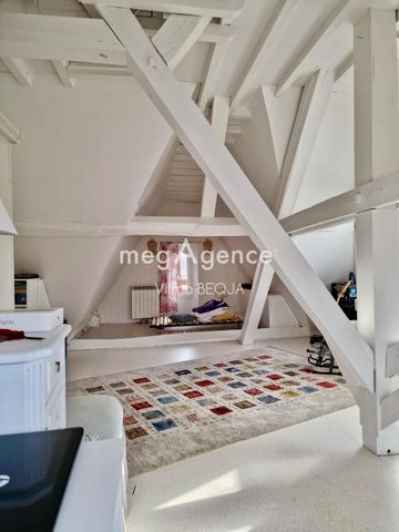 photo no. 6