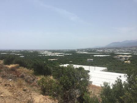 Vainia Perceel van 3 stremma's in Vainia. Het kan ongeveer 200 m2 groot zijn en biedt uitzicht op de bergen en de stad Ierapetra. Water en elektriciteit zijn vlakbij.