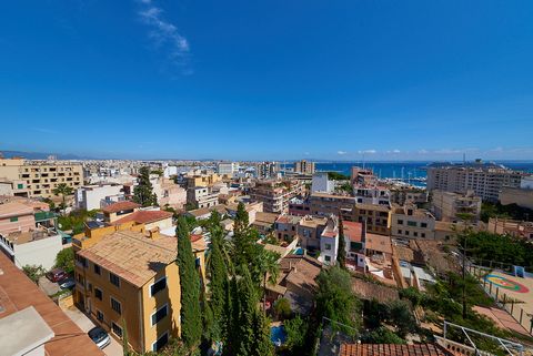 In Palma's El Terreno district, between the idyllic Bellver Park and the modern marina with its nightlife district, the Paseo Marítimo, you will find this sensational duplex penthouse with the following layout: 134m2 living space plus 600m2 terrace s...