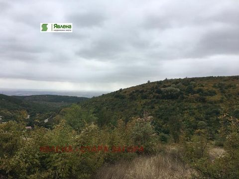 Yavlena säljer en 3000 kvm stor tomt med panoramautsikt i Dabrava-distriktet i staden Yavlena. Stara Zagora. Fastigheten har en liten förskjutning med ett ansikte på 120m. Om du är intresserad via telefon ...